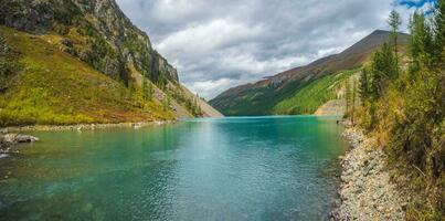 panorâmico Visão do Claro montanha lago dentro floresta entre abeto árvores dentro luz do sol. brilhante cenário com lindo turquesa lago contra a fundo do coberto de neve montanhas. foto