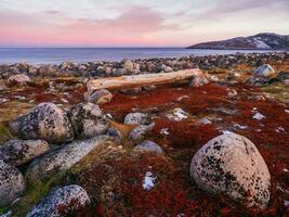 Maravilhoso montanha panorama com tundra e uma Banco em a costa do a barents mar. teriberka foto