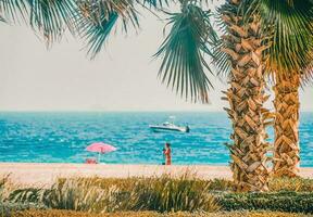 de praia com Palma árvore, cais e barco em a árabe golfo. foto