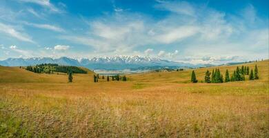 atmosférico outono montanha panorama. uma Largo panorâmico panorama com a Beira do uma conífero floresta e montanhas dentro uma luz névoa. altai montanhas. foto