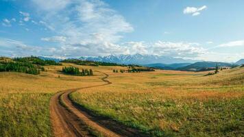 outono caminho acima lado da montanha. brilhante panorâmico minimalista alpino panorama com pedregoso trilha entre gramíneas dentro Planalto. foto