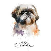 aguarela ai gerado ilustração do uma solteiro cachorro procriar shih tzu. guia cachorro, uma incapacidade assistência cachorro. aguarela animal coleção do cães. cachorro retrato. ilustração do animal. foto