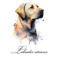 aguarela ai gerado ilustração do uma solteiro cachorro procriar labrador retriever. guia cachorro, uma incapacidade assistência cachorro. aguarela animal coleção do cães. cachorro retrato. ilustração do animal. foto