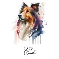 aguarela ai gerado ilustração do uma solteiro cachorro procriar collie. guia cachorro, uma incapacidade assistência cachorro. aguarela animal coleção do cães. cachorro retrato. ilustração do animal. foto