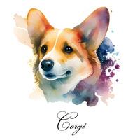 aguarela ai gerado ilustração do uma solteiro cachorro procriar corgi. guia cachorro, uma incapacidade assistência cachorro. aguarela animal coleção do cães. cachorro retrato. ilustração do animal. foto