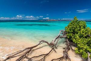 linda praia. vista da bela praia tropical. conceito de férias e férias. praia tropical. foto