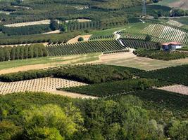 Vinhas Langhe de Piemonte no outono foto