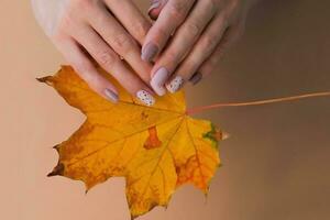 mulheres - mãos com lindo manicure aguarde a outono folha. outono tendência, polonês a bege e Codorna padronizar em a unhas com gel polonês, shellac. cópia de espaço. foto