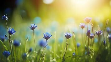 Primavera fundo com azul flores com a Sol brilhando em isto foto