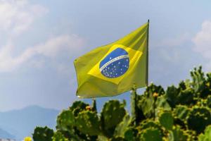 a bandeira do brasil desbotada ao ar livre acima de um cacto em uma praia do rio de janeiro. foto