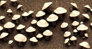 liberdade boné cogumelos. ai geração foto