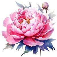 aguarela lindo peônia flor. ilustração ai generativo foto