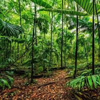 tropical selva panorama. generativo ai foto