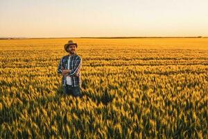 agricultor em pé dentro uma trigo campo foto