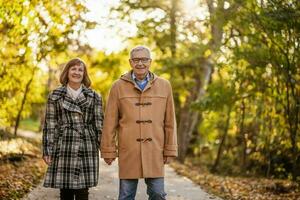 uma Senior casal gastos Tempo juntos dentro a parque foto