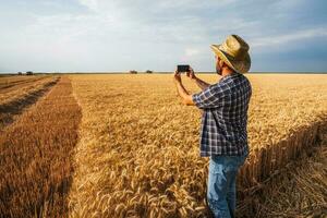 uma agricultor examinando uma trigo campo foto