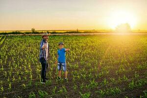 pai e filho em pé dentro uma milho campo foto