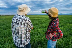 agricultores examinando a cortar. foto