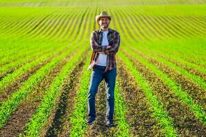 homem agricultor é cultivar milho em dele terra foto