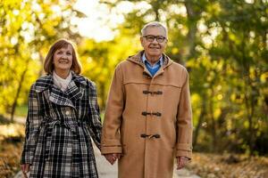 uma Senior casal gastos Tempo juntos dentro a parque foto