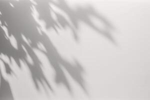 uma sombra do uma árvore em uma branco muro. ai gerado foto