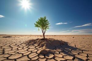 solteiro árvore dentro a meio do uma quebrado deserto dentro global aquecimento conceito com generativo ai foto