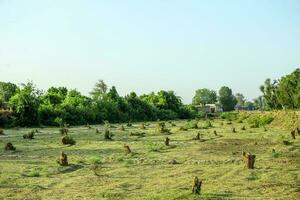 verde floresta natureza do esperança paquistanês Vila foto