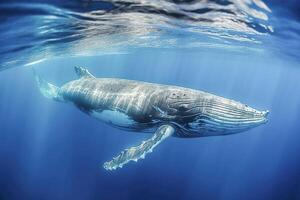 ai generativo. baleia tocam dentro azul água foto