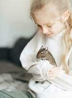 jovem menina jogando com pequeno animal degu esquilo. foto