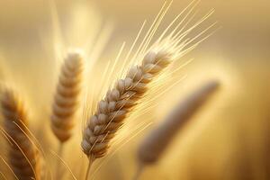 orelhas do trigo. generativo ai foto