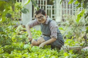 ásia mulher colheita vegetal às casa jardim foto