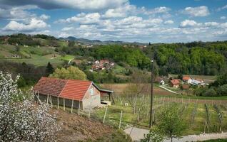 lindo rural panorama cenário com vinhas e floresta em verde colinas às klenice, Croácia, município hrvatsko zagorje foto