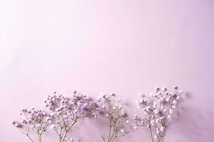 pequeno roxa e branco Gypsophila flores ficar de pé dentro uma vaso em uma lilás fundo foto