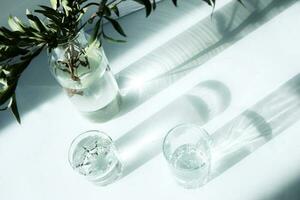 uma vidro vaso com uma verde plantar e dois óculos do água em uma branco mesa. foto