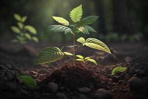 plantar crescendo dentro Fazenda terra ou floresta com luz solar às dia. jovem plantar é crescente. mundo terra dia. mundo meio Ambiente dia. terra conservação, ecologia ou global aquecimento de ai gerado foto