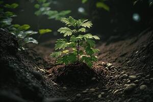 plantar crescendo dentro Fazenda terra ou floresta com luz solar às dia. jovem plantar é crescente. mundo terra dia. mundo meio Ambiente dia. terra conservação, ecologia ou global aquecimento de ai gerado foto