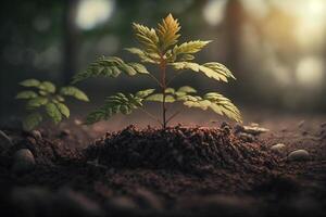 plantar crescendo dentro Fazenda terra ou floresta com luz solar às dia. jovem plantar é crescente. mundo terra dia. mundo meio Ambiente dia. terra conservação, ecologia ou global aquecimento de ai gerado foto