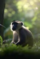 minúsculo macaco explorando exuberante floresta tropical folhagem ai gerado foto