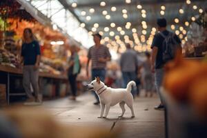 solitário cachorro em uma ocupado mercado procurando para Está proprietário ai gerado foto