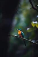 colorida pássaro empoleirado em uma ramo dentro a floresta tropical ai gerado foto