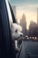 curioso cachorro levando dentro a paisagem urbana a partir de carro janela ai gerado foto