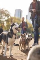 uma pacote do brincalhão cachorros dentro a urbano cachorro parque ai gerado foto