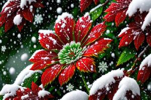 uma vermelho flor com verde folhas e neve Sombrio fundo de ai gerado foto