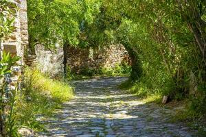 a esvaziar arenoso caminho com pedras dentro uma verde floresta com grande quantidade do árvores foto