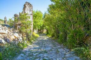 a esvaziar arenoso caminho com pedras dentro uma verde floresta com grande quantidade do árvores foto