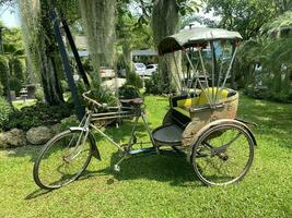 velho vintage triciclo em uma gramado não pessoas. foto