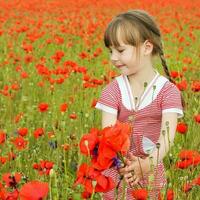 uma menina coleta papoula flores foto