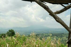 panorama tabaco e milho campo quando seco estação com azul céu e nublado vibrações. a foto é adequado para usar para jardim campo conteúdo meios de comunicação, natureza poster e Fazenda fundo.