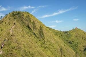 panorama montanha quando manhã Tempo luz solar verão vibrações. a foto é adequado para usar para aventura conteúdo meios de comunicação, natureza poster e floresta fundo.