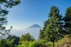 panorama montanha quando manhã Tempo luz solar verão vibrações. a foto é adequado para usar para aventura conteúdo meios de comunicação, natureza poster e floresta fundo.